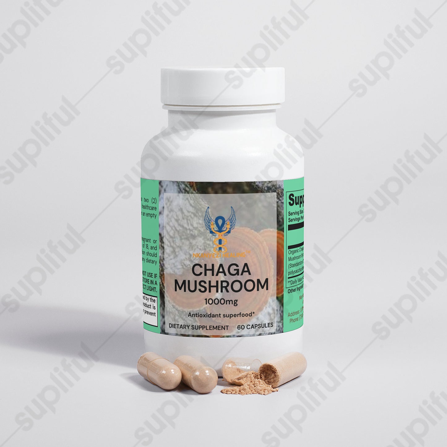 Chaga Mushroom